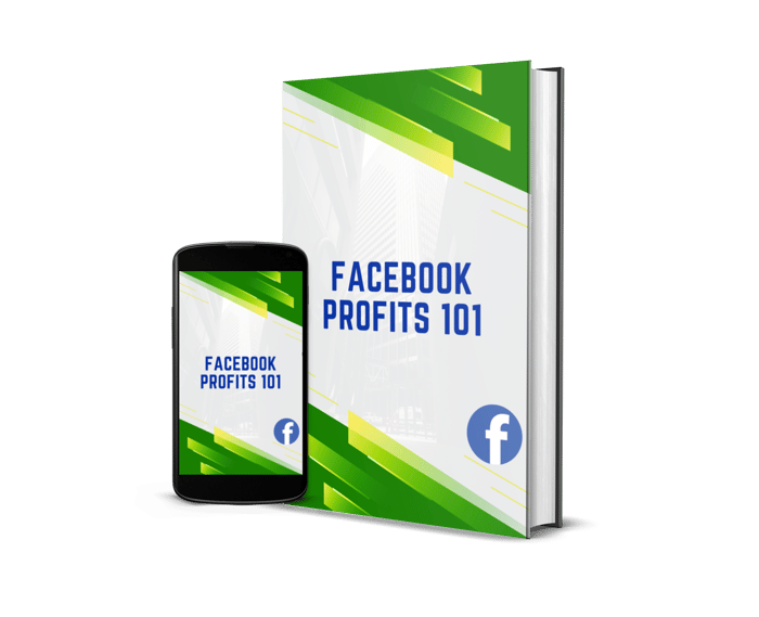 Facebook Profits 101 image